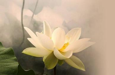 513au勁舞團(tuán)私服下載必須留意哪些問題 513au勁舞團(tuán)私服下載必須留意哪些問題